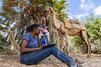 Grevy’s Zebra (Equus grevyi) conservationist, Ann-