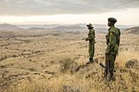 Grevy’s Zebra (Equus grevyi) conservationists on d