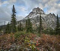 Rising Wolf Mountain, Glacier National Park, Monta