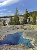 Geothermal hot spring, Blue Star Spring, Yellowsto