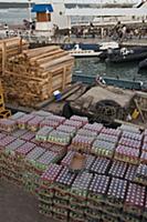 Unloading cargo on the dock, Puerto Ayora, Santa C