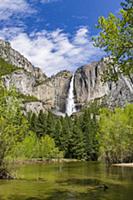 Yosemite Falls and Merced River, Yosemite National