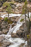 Spring run-off, Cascade Creek, Yosemite National P