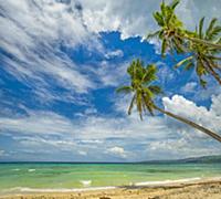 Tropical beach, Siquijor Island, Philippines