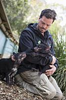 Tasmanian Devil (Sarcophilus harrisii) conservatio