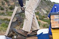 Santa Catalina Island Fox (Urocyon littoralis cata