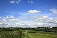 England, West Sussex, Slindon, View of the South D