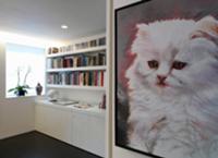 Picture with cat motif on wall of anteroom and boo