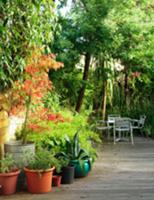 Plant pots and seating on wooden decking