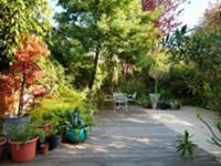 Wooden decking with plant pots and seating in esta