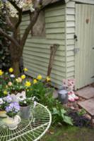 Spring flowers on garden table and in flowerbed ne