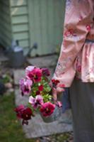 Woman carrying pot of pansies