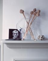 Dried poppy heads in glass jug next to photograph 