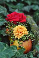 Autumnal arrangement with apples as vases decorate