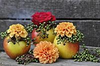 Autumnal arrangement with apples as vases decorate