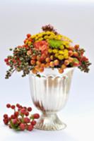 Autumnal arrangement of flowers & berries in silve