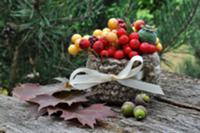 Autumnal arrangement with berries, crab apples, le