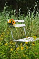 Folding chair decorated with flowers in summer mea