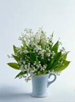 Posy of lily-of-the-valley in vase