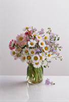 Posy of wild flowers with daisies & forget-me-nots