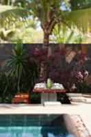 Set table beneath palm trees in garden next to poo