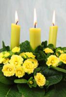 Spring decor: yellow primulas and candles