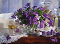 Purple spring bouquet in glass vase next to variou