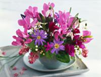 Purple posy in ceramic vase on saucer and tray