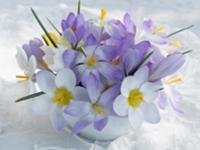 White and purple flowers in vase on lace cloth