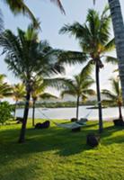 Hammock in the hotel complex of the Four Seasons R