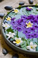 Flowers in a bowl of water (Hotel and Ayurveda Spa