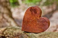 Rusty metal heart on tree trunk