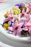 Decorated plate with hyacinth florets and violas