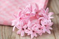 Pink circlet of hyacinth florets on a tea towel