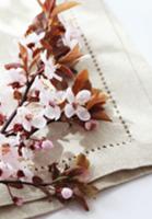 Twig of blossoming plum on linen cloth