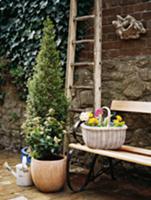 Planters and retro garden bench against stone wall