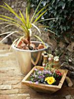 Bowl of flowers in front of palm tree in metal pla