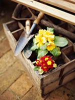 Old wooden box with flowerpots and garden tools