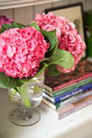 Pink hydrangeas in glass vase next to stack of boo