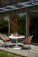 50s-style, rattan shell chairs on wooden terrace i