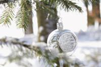 Silver bauble on tree