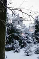 Christmassy ambience in garden