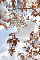 Christmas tree decorations outdoors