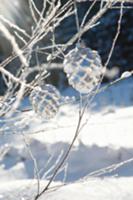 Christmassy tree decorations on thin twigs