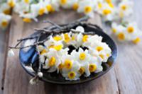 Circlet of white narcissus flowers on plate