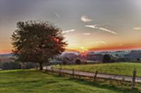 Rolling landscape at sunset