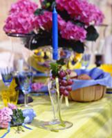 Summery set table decorated with grapes and hydran