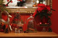 Fir cones under glass cloches, miniature tin rocki