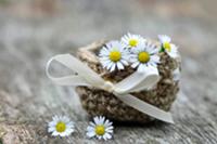 Basket of daisies