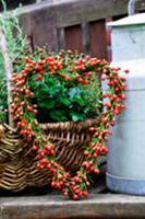 Heart-shaped wreath of rosehips, wicker basket and